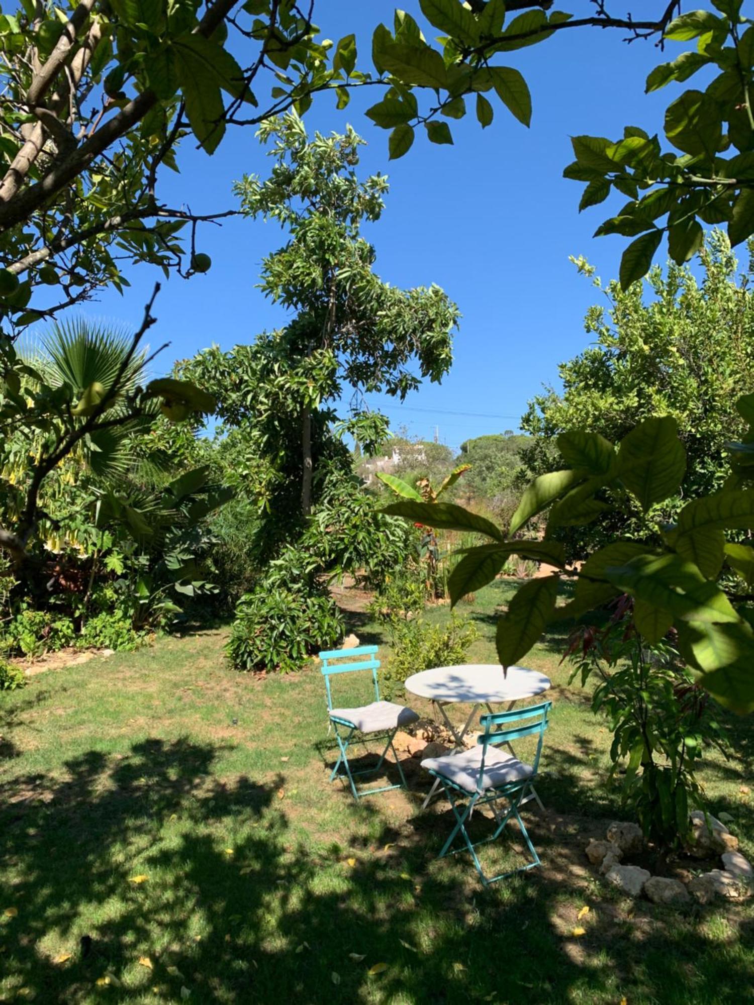 A Tranquil Garden Apartment, Carvoeiro - Benagil Carvoeiro (Lagoa) Exterior foto